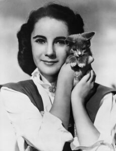 ca. 1940s-1950s --- Elizabeth Taylor Holding Kitten --- Image by © John Springer Collection/CORBIS